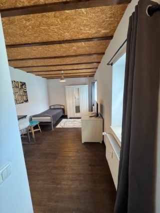 Anzeigenbild: Helles 1-Zimmer-Apartment mit separatem Eingang