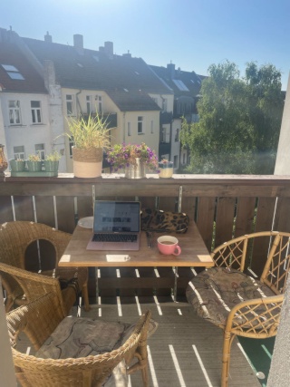 Anzeigenbild: helle und gemütliche 2-Zimmer Wohnung in Schleußig zur Zwischenmiete