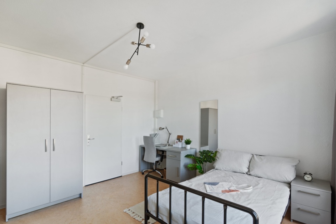 Home & Co – Easy Living | Möbliertes All-Inclusive Wohnen – Güntzstraße 28, 1307 Dresden Johannstadt – Vorschaubild 6