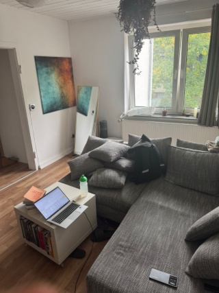Anzeigenbild: Sub let 2 rooms apartment in Bonn zentrum - December and January