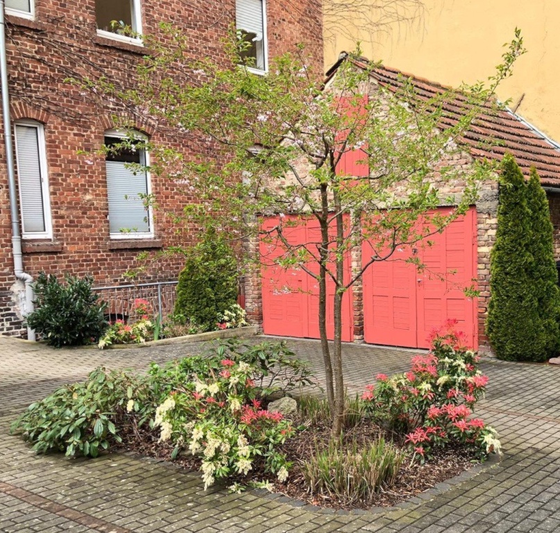 WG-Zimmer Südstadt Frankfurter Straße 110 und 159 - Innenhof