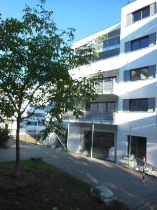 Anzeigenbild: 2,5 Zi-Wohnung in Sindelfingen-Mitte