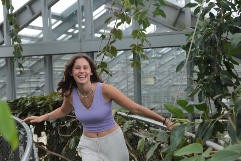 Anzeigenbild: WG gesucht für mein zweimonatiges Praktikum in Kassel