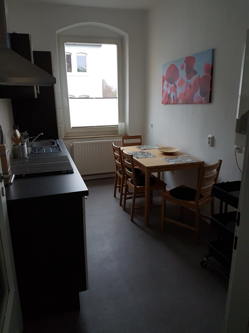 WG-Zimmer Südstadt Frankfurter Straße 110 und 159 - Wohnung 6 - Gemeinschaftsküche mit EBK-Zeile