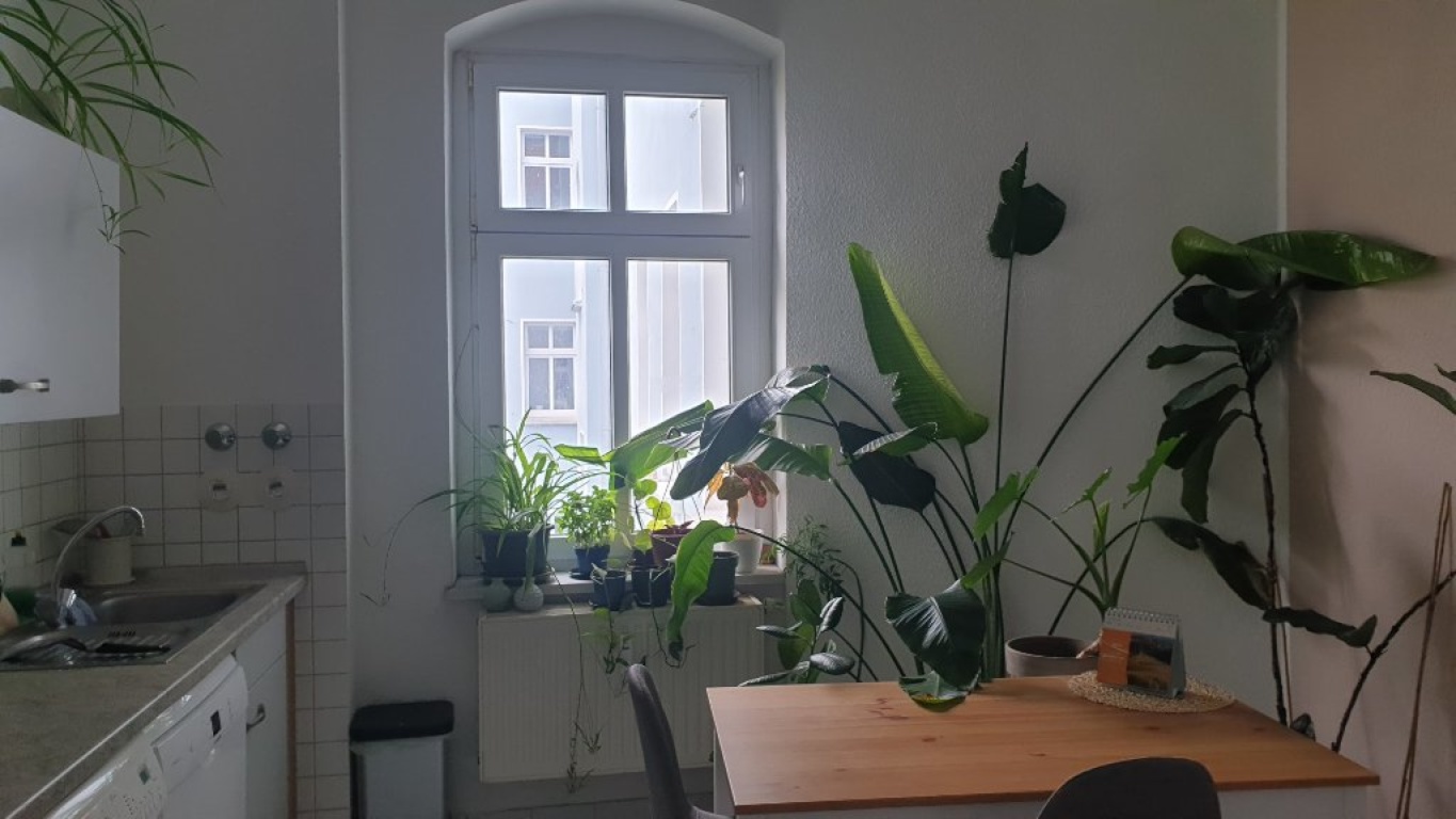 Schöne, ruhige Altbauwohnung in Friedrichshain / Nice, quiet flat in Friedrichshain – Ebelingstraße, 10249 Berlin Friedrichshain – Vorschaubild 4