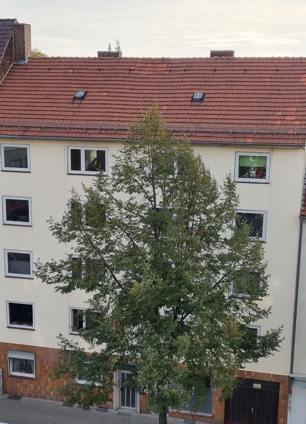 Wohnung Südstadt Frankfurter Straße - Frankfurter Straße 111