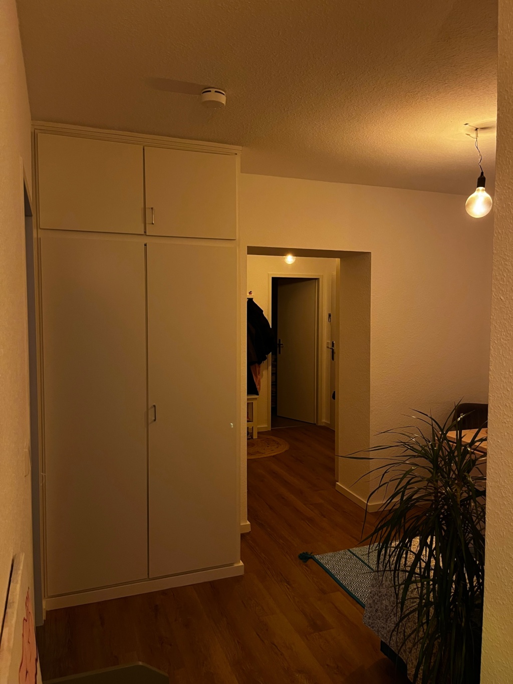 Nachmieter*in/WG Neugründung für 3-Zimmer-Wohnung in der Mainzer Altstadt – Wallpodenstraße 18, 55116 Mainz Altstadt – Vorschaubild 5