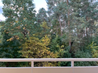 Ad image: 3 Zi apartment in Eberswalde