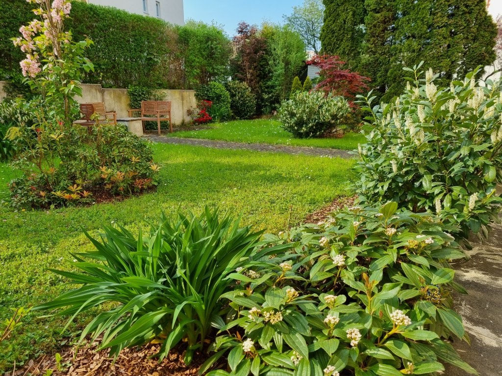 WG-Zimmer Südstadt Frankfurter Straße 110 und 159 - Garten