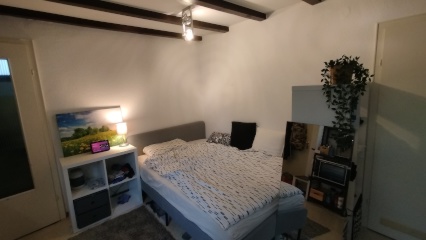 Anzeigenbild: Nachmieter für schöne Einzimmerwohnung in Linden-Mühlberg gesucht