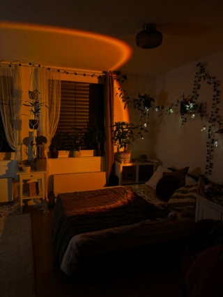 Anzeigenbild: Möbilierte 2-er WG in der Innenstadt