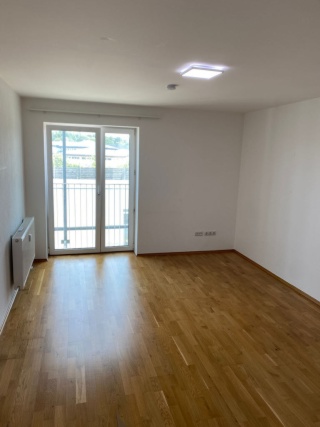 Anzeigenbild: Modernes 1-Zimmer-Studentenappartment in ruhiger Lage