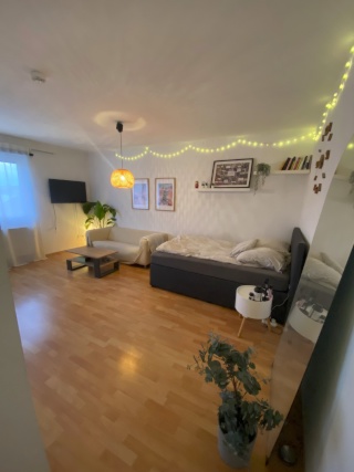 Anzeigenbild: Helle 1-Zimmer Wohnung im 3. OG mit Balkon in Osnabrück-Schölerberg