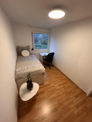 Anzeigenbild: 🌟Stilvolles 1-WG Zimmer mit Blick ins Grüne - für Auszubildende und Berufstätige 🌟