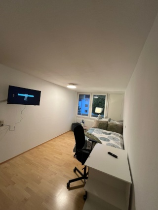Anzeigenbild: 🏡 Modernes 1-Zimmer-Apartment mit TV & Festlicher Note – Sofort bezugsbereit!