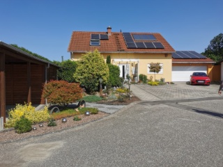 Anzeigenbild: 1 Zimmer in 2er WG