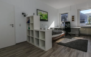 Anzeigenbild: Renoviert und möbliert 18 min von HBF Bonn