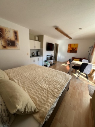 Ad image: Newly renovated 1-room apartment on the first floor