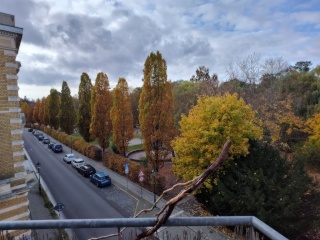 Ad image: 30 m² direkt am Ammonpark