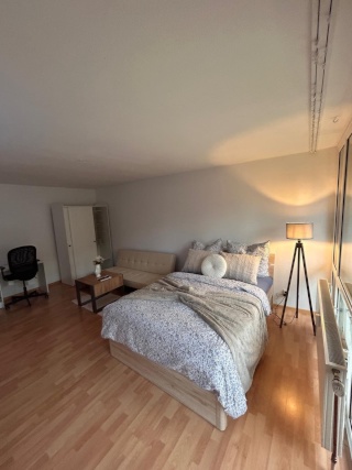 Anzeigenbild: 🛋️ Großzügiges Studio mit Sofa & Stil – Wohnen mit Komfort und Charakter!