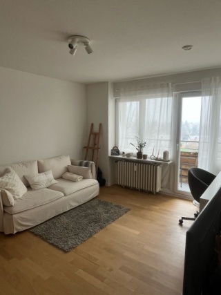 Anzeigenbild: Nachmieter*in für schöne 1-Zimmer Wohnung in Freiburg gesucht