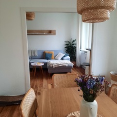 Ad image: Rental 3 ZBK Altbau January & February fully furnished