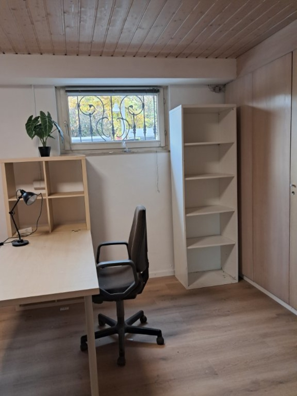 Flatshare Tamm Tübinger Str. - picture 8