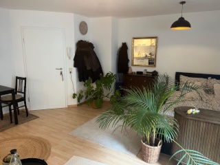 Anzeigenbild: Wohnung zu vermieten