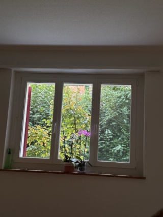 Imagen del anuncio: Amueblado en apartamento de 3 habitaciones – 19 min. a Zürich HB