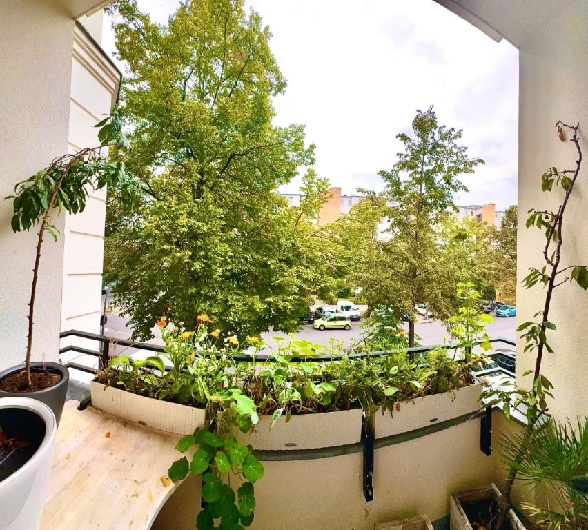 1-Zi.-Wohnloft, hell, Nähe U-Bhf, Schlosspark, Stuttgarterplatz, möbliert eigenes Bad, Küche Balkon, Südostlage, Aufzug, – Windscheidstraße 2, 10627 Berlin Charlottenburg – Vorschaubild 9