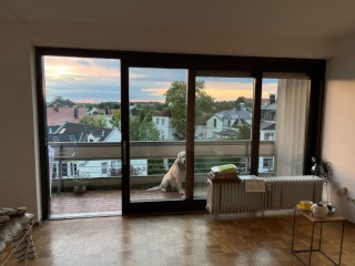 Anzeigenbild: Wohntraum-1- Zimmer- mit Weitblick über Detmold