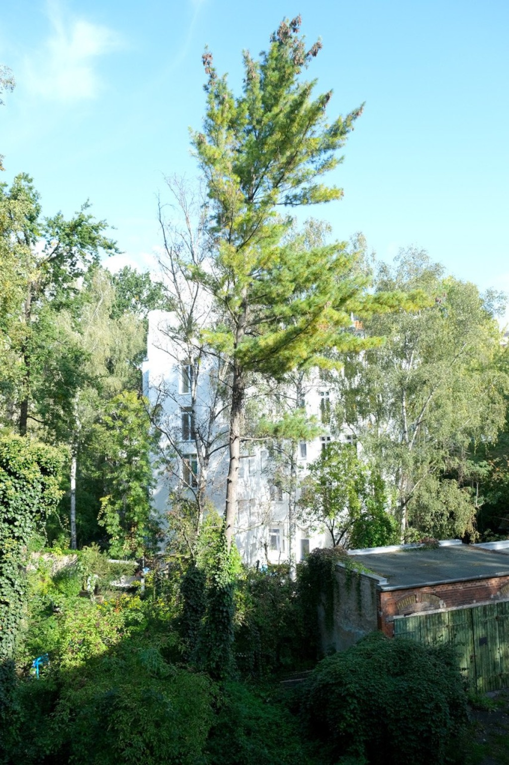 Wohnung Gesundbrunnen Bornemannstraße - Bild 16