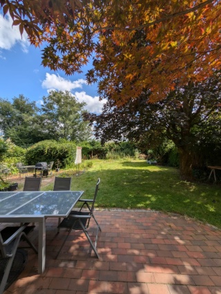 Anzeigenbild: Haus-WG sucht neue Mitbewohner*in