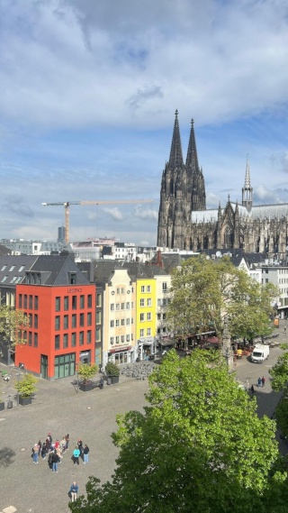 WG-Zimmer in zentraler, großer Wohnung (3er WG, 106qm)