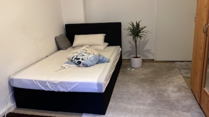 Anzeigenbild: Temporary Sublet (15 Dec – 18 Jan)