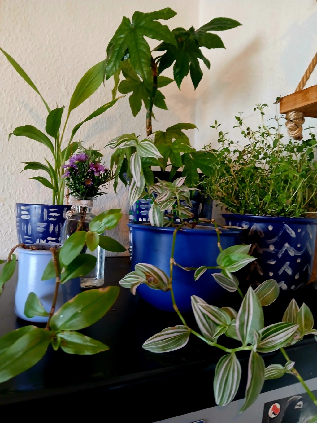 Habitación en WG Bornheim Bornheimer Landwehr 26 - foto 9