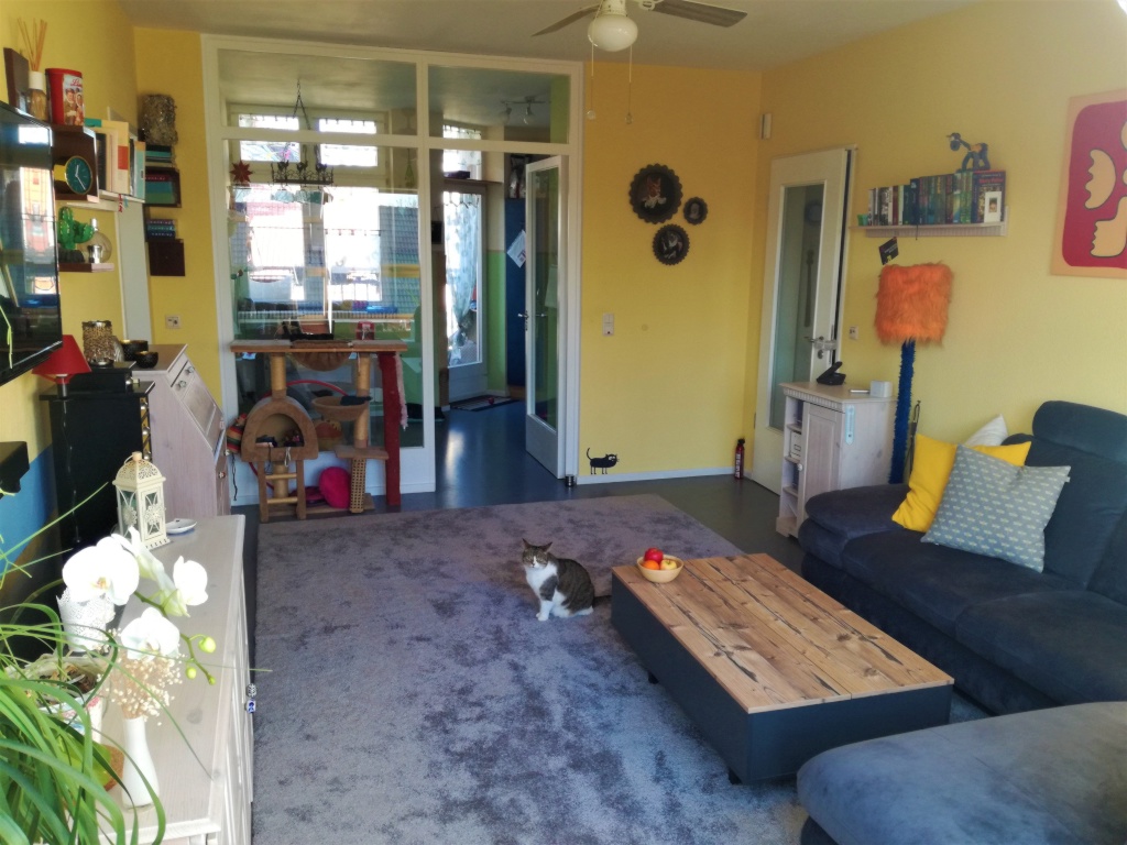 Pendler-Wohnung Longterm, Tiere willkommen, Katzen bevorzugt ;) – Holteistrasse, 10245 Berlin Friedrichshain – Vorschaubild 6