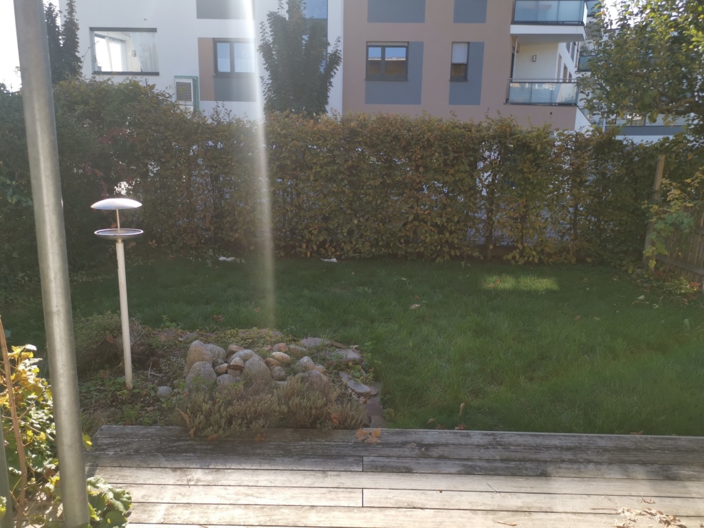 WG-Zimmer Haslach-Haid Rotermelweg 8 - Bild 10