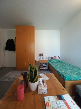 Imagen del anuncio: Sublet in 2-Zimmer Frau WG