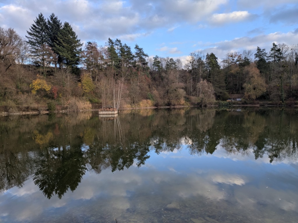 Habitación en WG Weingarten Schonisweilerstraße - Kreuzbergweiher