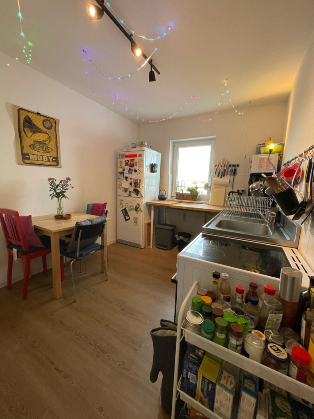 Flatshare südliche Innenstadt Thomasiusstraße - Küche :)