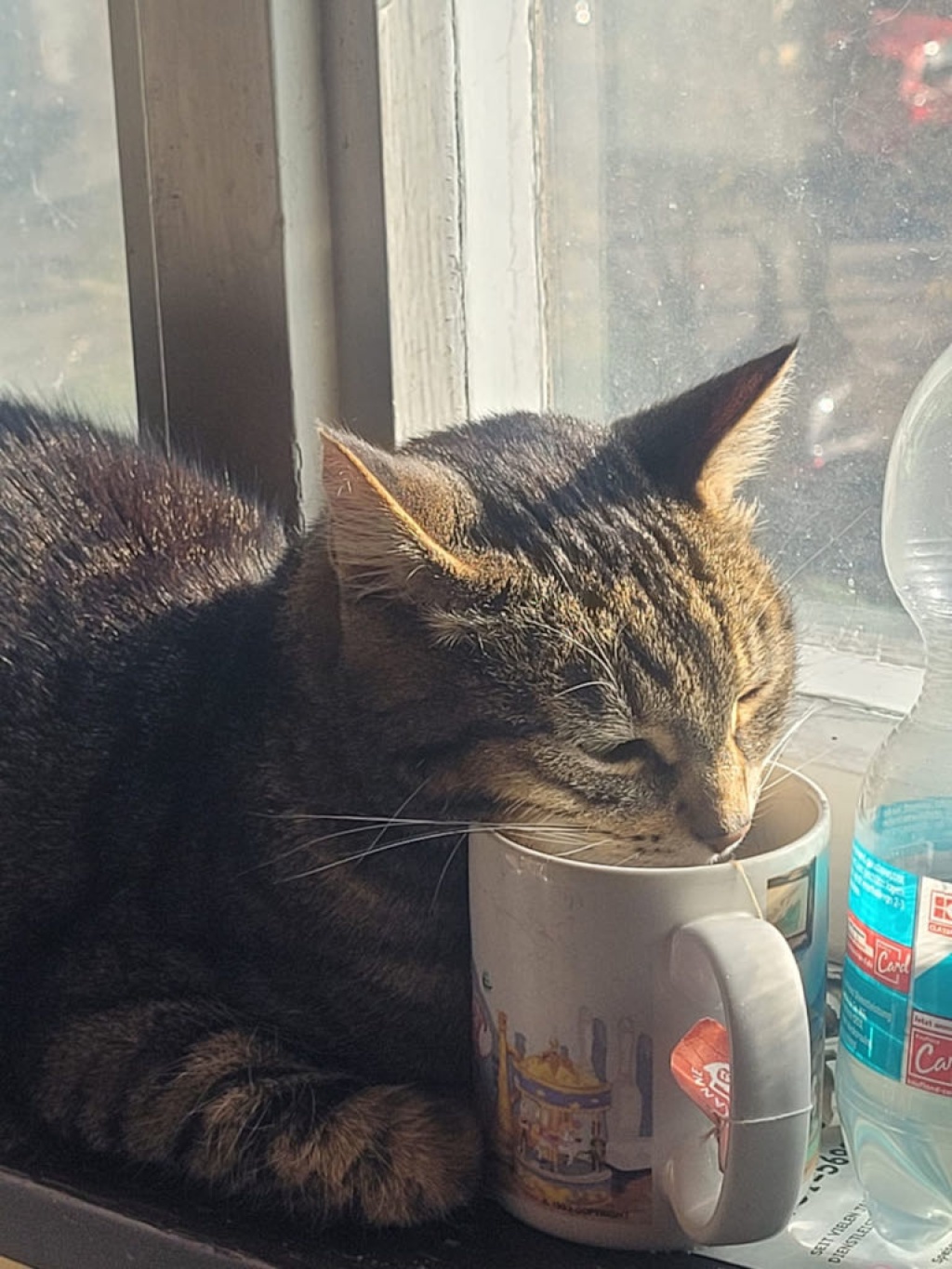 Habitación en WG Oberstadt Malerstraße - foto 15