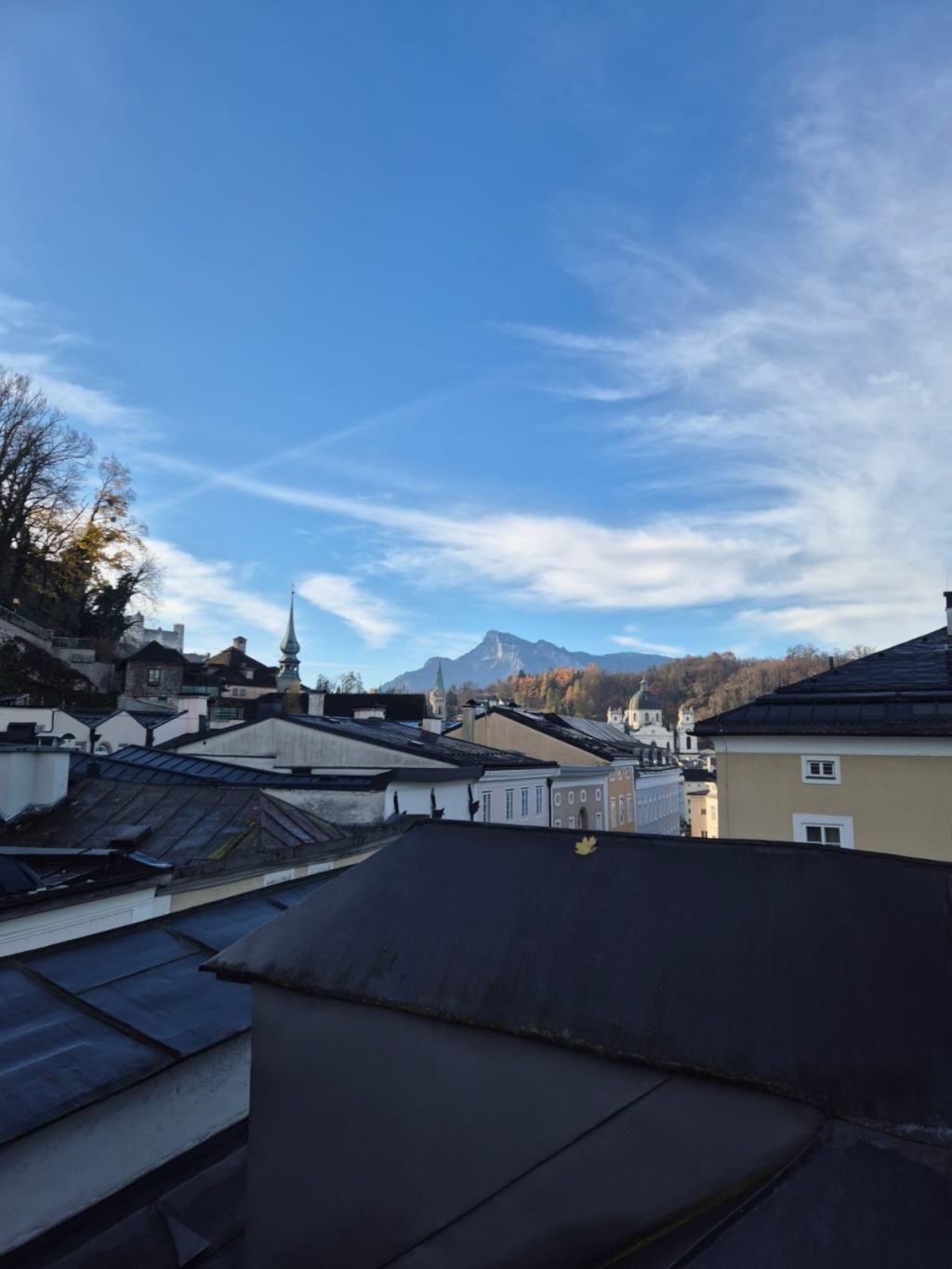 Flatshare Altstadt Linzer Gasse - picture 12