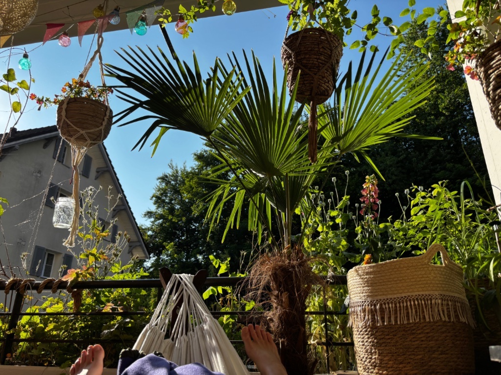 WG-Zimmer Maihof Rotseestr 22 - Bild 10