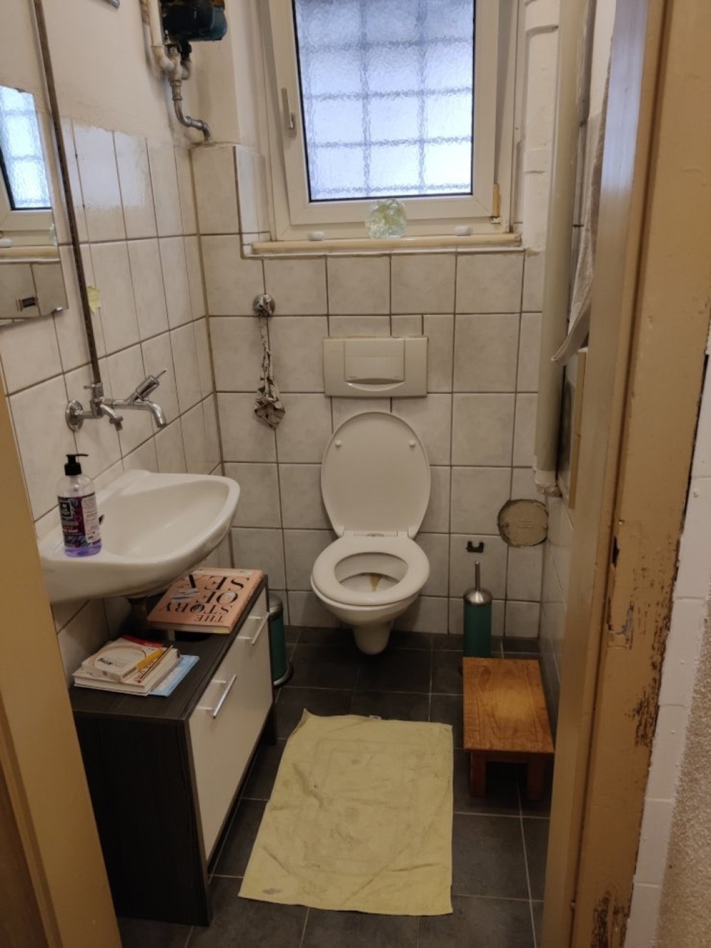 Habitación en WG Unterstadt Liebfrauenstraße 32 - Hier wird Pipi gemacht!