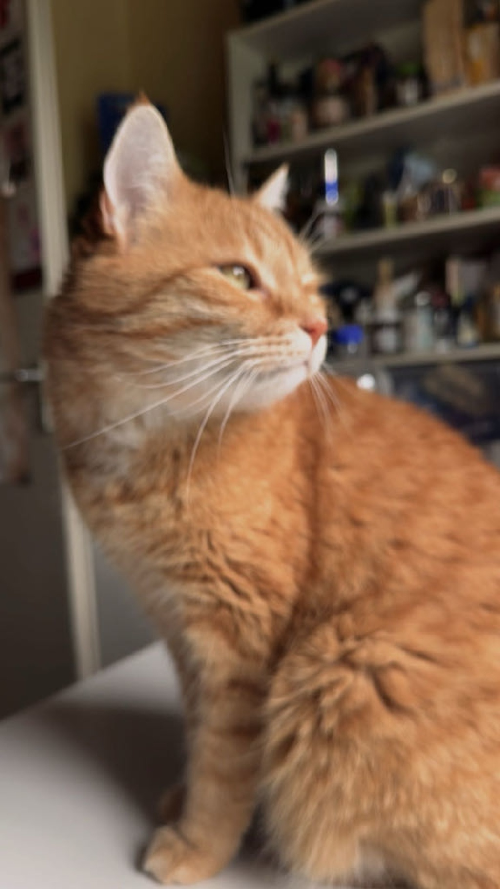 Habitación en WG Oberstadt Malerstraße - foto 14