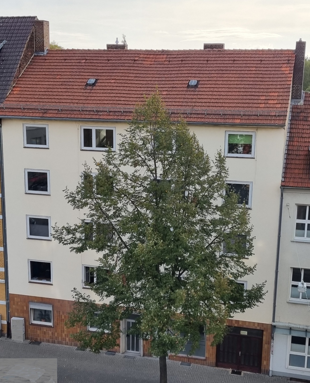 Ideal für 2er WGs - moderne 3 ZKB-Wohnungen, hochwertige Ausstattung, EBK, für Studenten-WGs/Paare mit Garten, direkt am Staatspark Karlsaue in der Südstadt - seit Juni 2026 nachts verkehrsberuhigte Zone!