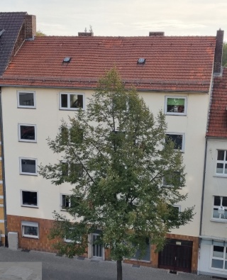 Anzeigenbild: Ideal für 2er WGs - moderne 3 ZKB-Wohnungen, hochwertige Ausstattung, EBK, für Studenten-WGs/Paare mit Garten, direkt am Staatspark Karlsaue in der Südstadt - seit Juni 2026 nachts verkehrsberuhigte Zone!