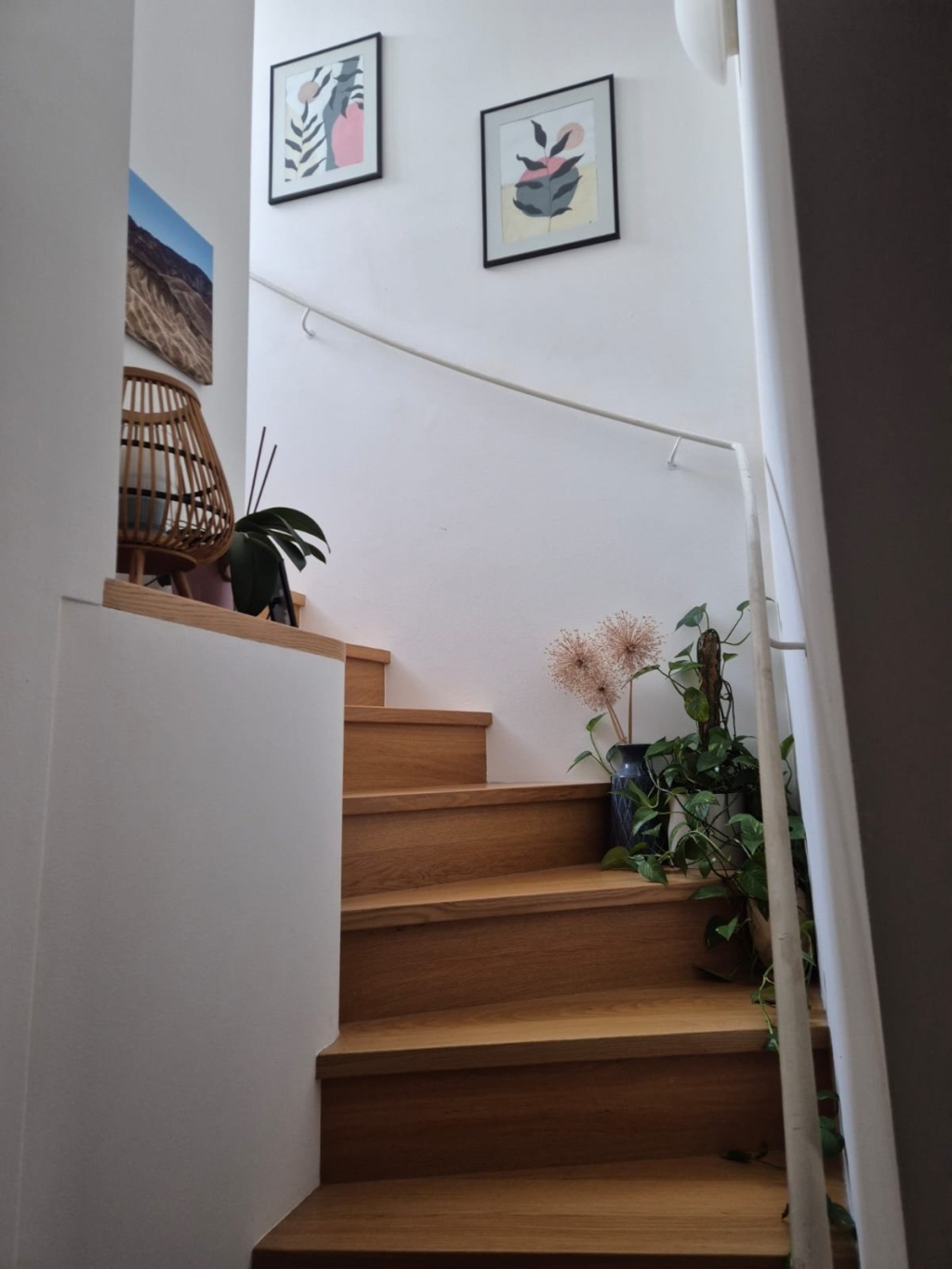 Flatshare Altstadt Linzer Gasse - picture 11