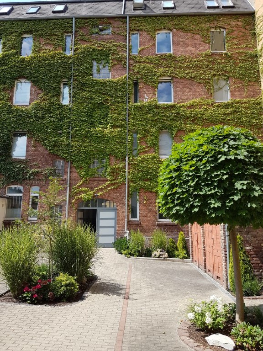 Für Singles: Modern ausgebaute 2,5 ZKB-Wohnung mit EBK für 1 Person, ruhige Hofhauslage in der Südstadt mit Blick in den Meißner – Frankfurter Straße 159, 34121 Kassel Südstadt – Vorschaubild 2